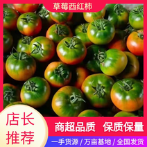草莓西红柿铁皮柿子绿腚水果番茄精品特级皮脆酸甜爆汁产地发