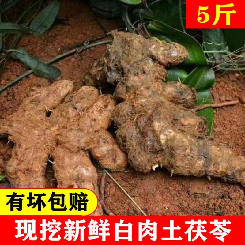 新鲜湖南白肉甘甜野生土茯苓现挖现发产地直发坏的包赔