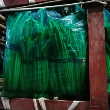 邳州精品蒜苔