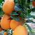 长红橙子，纽荷尔脐橙，果园直销支持市场批发电商团购