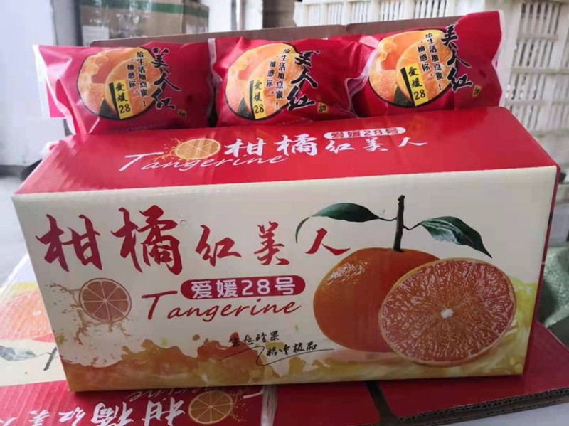 沃柑，红美人，俗称果冻橙，爱媛28.水份多无渣入口即化