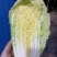 娃娃菜，大量上市中，诚信经营，质量保证代发全国