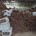 广东肇庆市德庆县精品桂皮工厂原产地直销量大从优