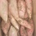 甜甜的，糯糯的烟薯25@需要的联系，烤地瓜的电商联系