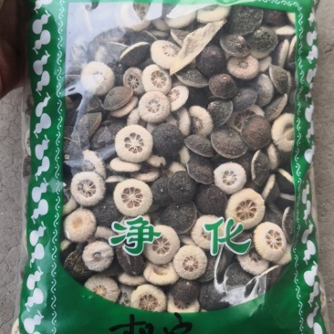 枳实高含量枳实干货不满意可退换货