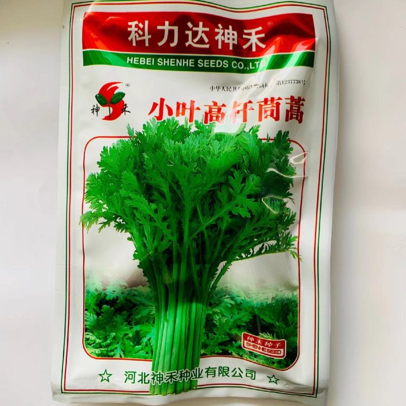 神禾小叶高杆茼蒿种子香味浓抗病耐寒茼蒿菜种籽蓬蒿桐花菜