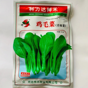 神禾鸡毛菜青梗菜种子耐热耐寒耐湿生长期短小青菜种籽