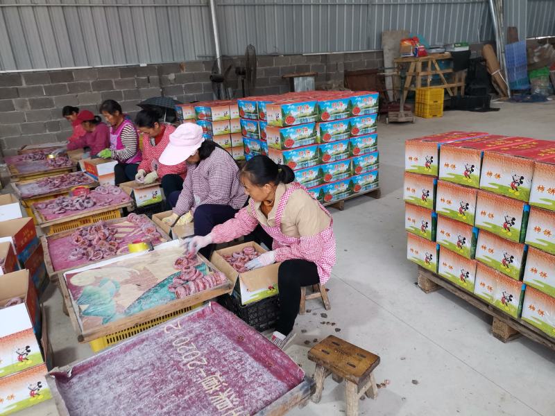 桂林柿饼，产地大量上市。漂亮圆饼吊饼发柿市场电商大量有货