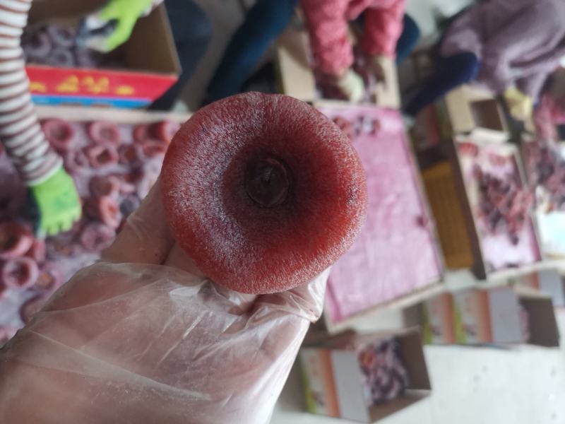 桂林柿饼，产地大量上市。漂亮圆饼吊饼发柿市场电商大量有货