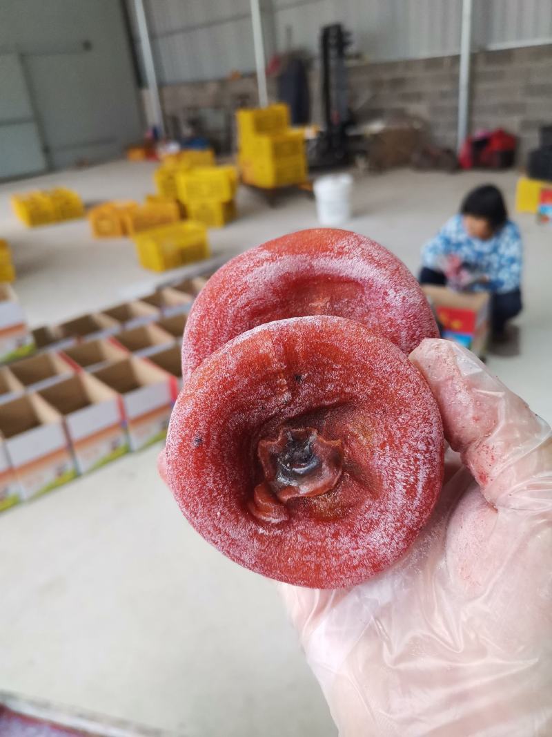 桂林柿饼，产地大量上市。漂亮圆饼吊饼发柿市场电商大量有货