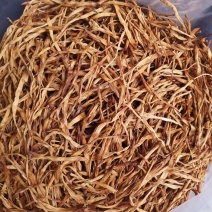 优质湖南邵东黄花菜产地直销量大从优欢迎选购