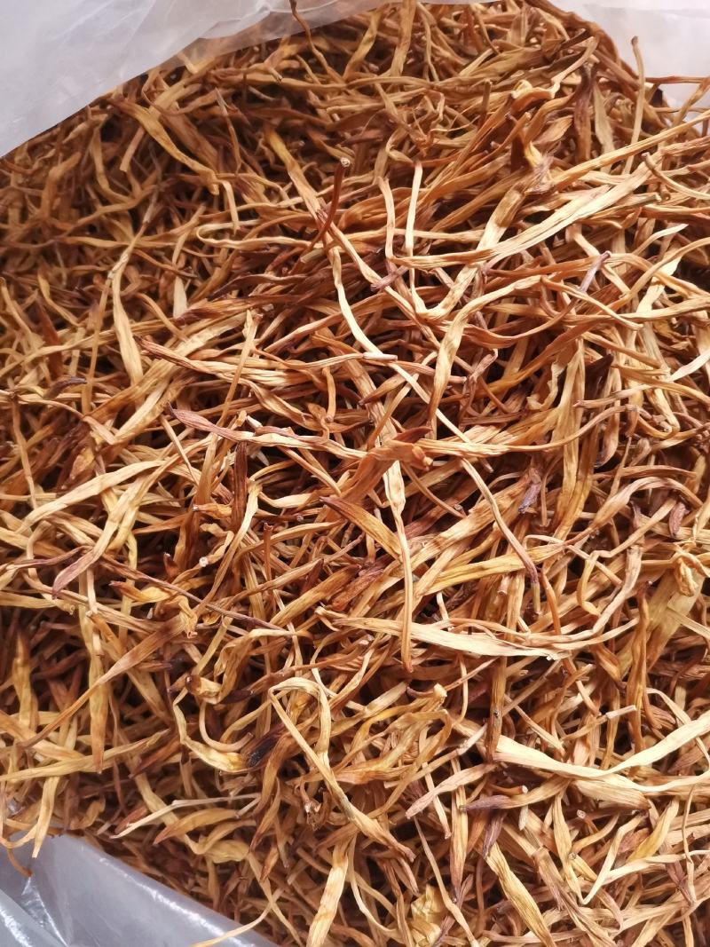 优质湖南邵东黄花菜产地直销量大从优欢迎选购