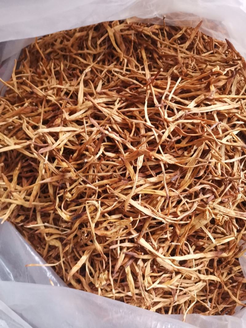 优质湖南邵东黄花菜产地直销量大从优欢迎选购