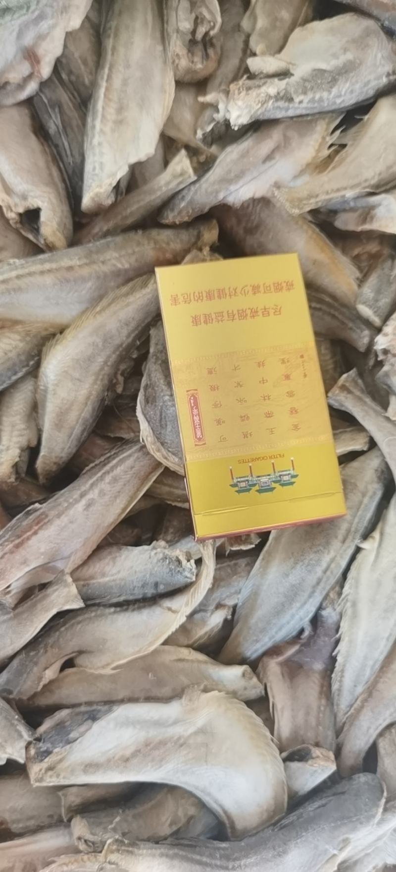 雷鱼三去雷鱼单冻雷鱼单冻雷鱼三去雷鱼去脏雷鱼