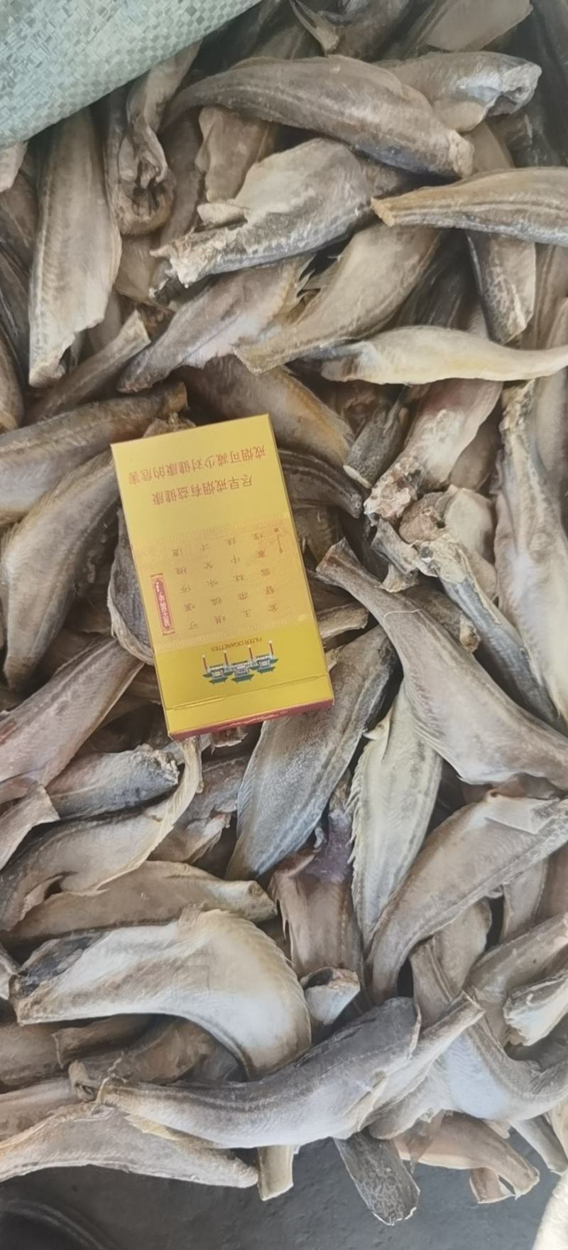 雷鱼三去雷鱼单冻雷鱼单冻雷鱼三去雷鱼去脏雷鱼