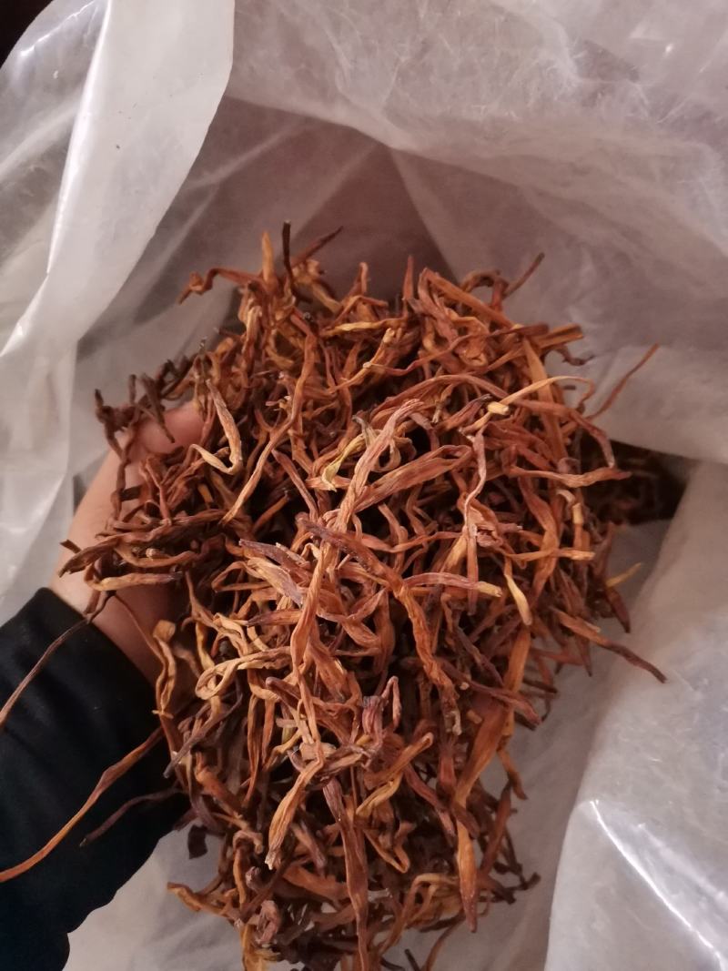 优质湖南邵东黄花菜产地直销量大从优欢迎选购