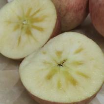 陕西省韩城市芝阳镇贺龙村小时种植的农家红富士苹果脆甜可口