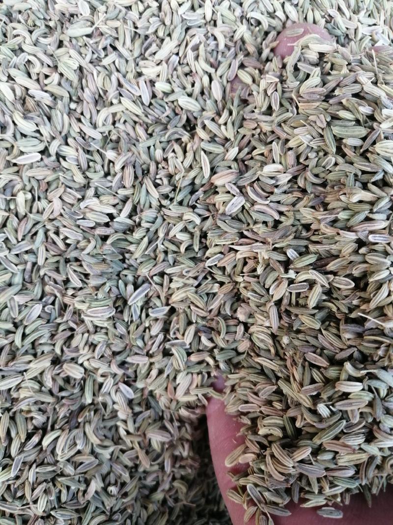 小茴香香辛料无硫无添加增香提味卤肉火锅底料配各种香料大全