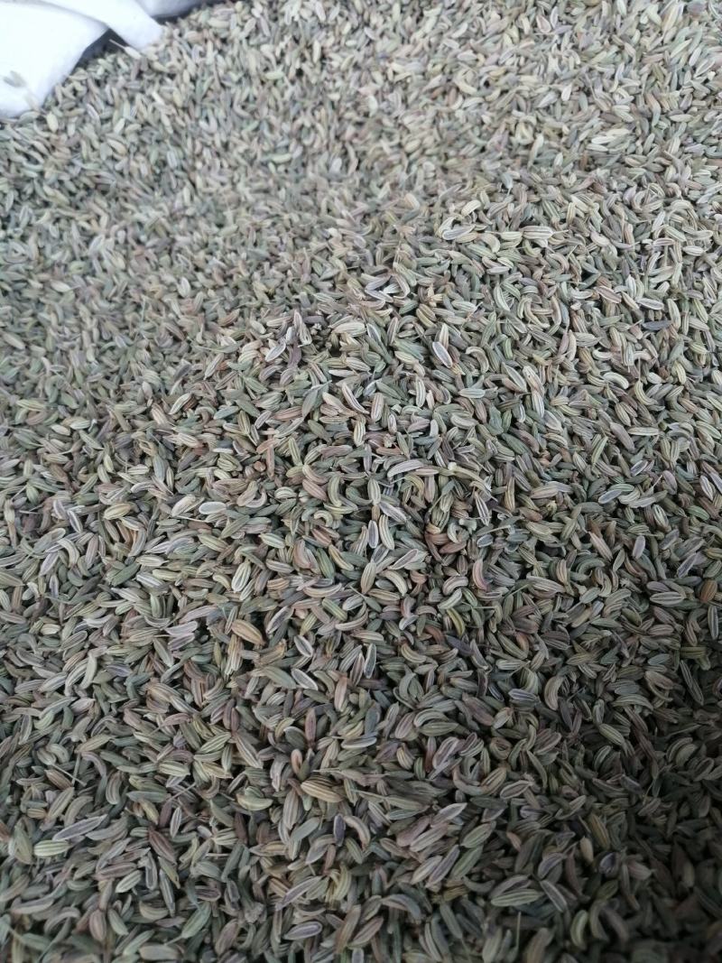 小茴香香辛料无硫无添加增香提味卤肉火锅底料配各种香料大全