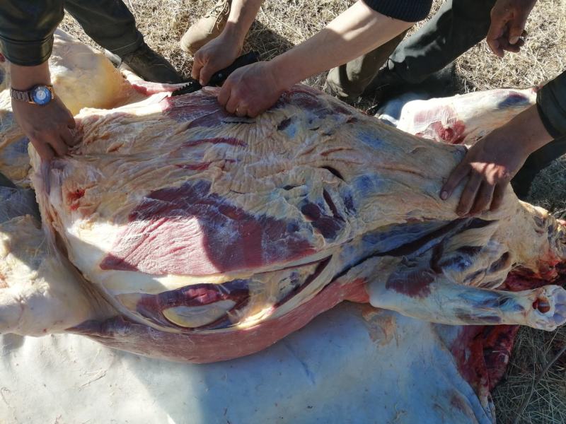 冬肉