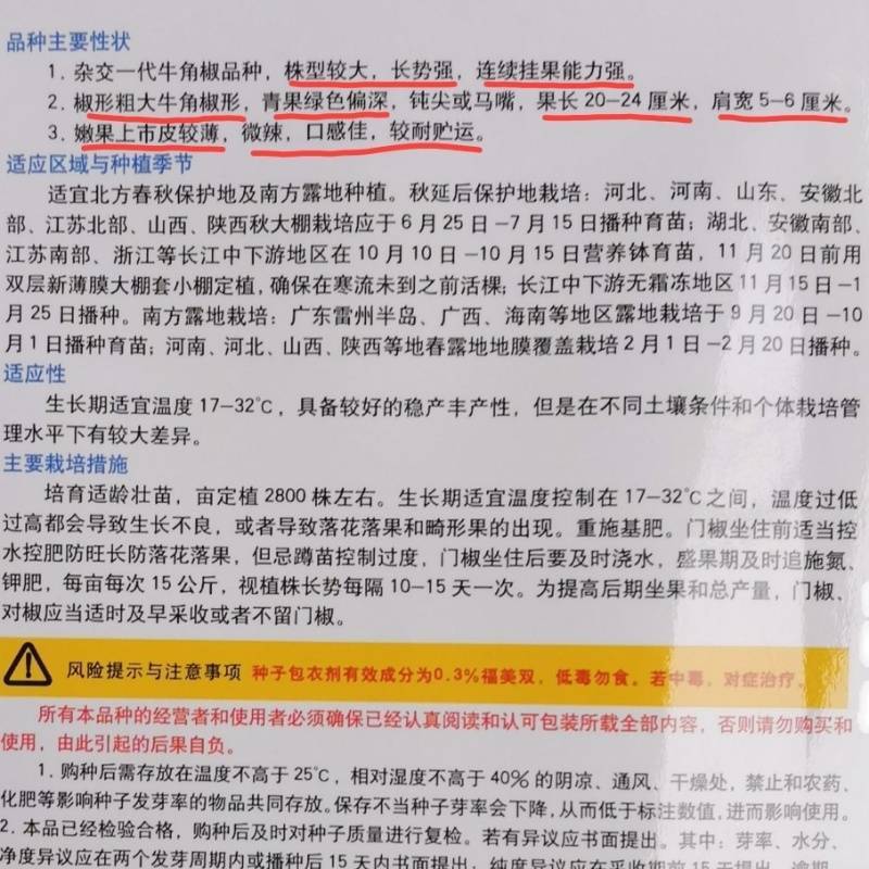 高品质！汤老师14号薄皮泡椒种子，大果苏椒牛角椒辣椒种子