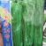 高品质！汤老师14号薄皮泡椒种子，大果苏椒牛角椒辣椒种子