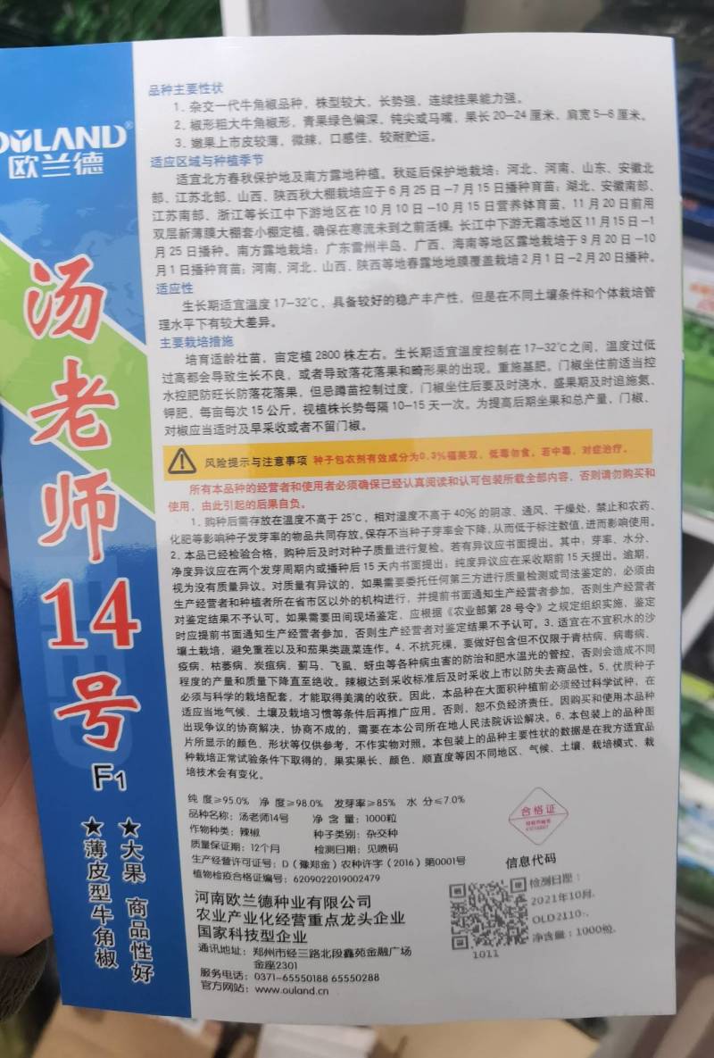 高品质！汤老师14号薄皮泡椒种子，大果苏椒牛角椒辣椒种子