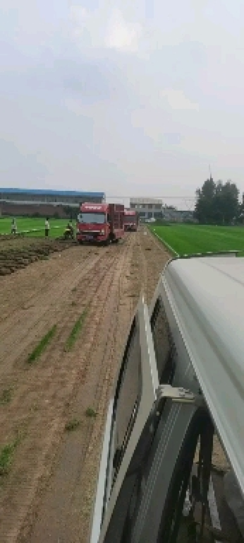 草坪基地直销，品种全数量多质优价廉欢迎各界老板莅临指