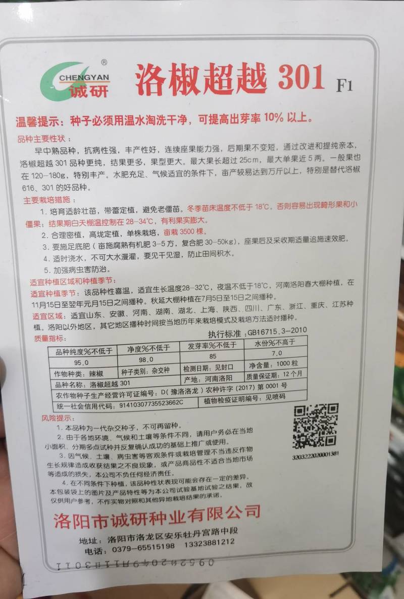 洛椒306辣椒种子特大果高产泡椒种子耐低温耐高温露地大
