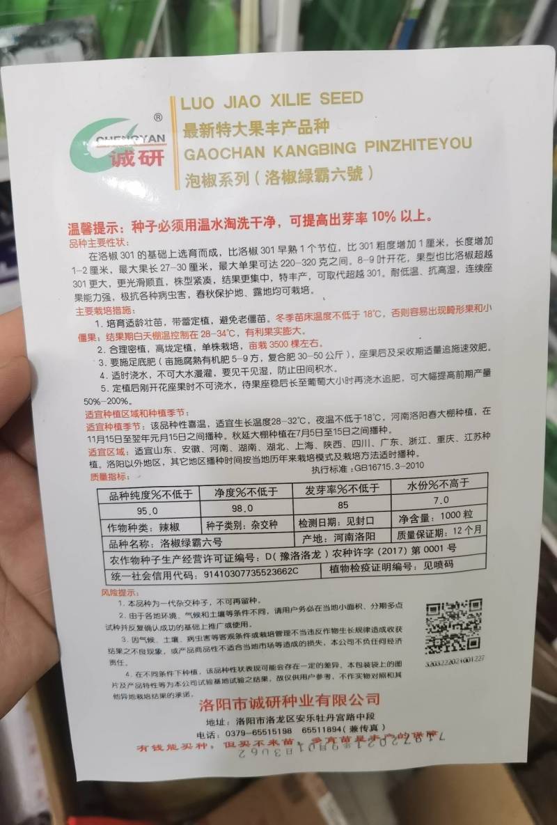 洛椒306辣椒种子特大果高产泡椒种子耐低温耐高温露地大
