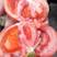 申粉16番茄种子西红柿种籽无线生长粉红果耐裂抗病露地