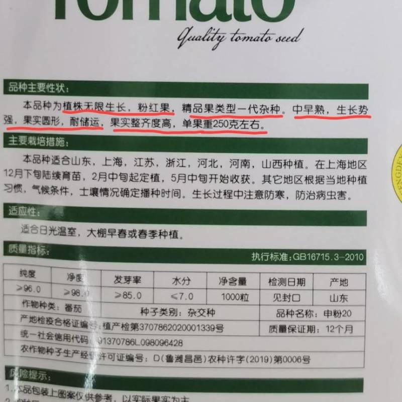 申粉20番茄种子上海农科院培育粉红大果耐运输番茄西红柿