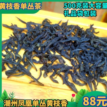 黄枝香单丛茶凤凰单丛茶