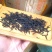 黄枝香单丛茶凤凰单丛茶