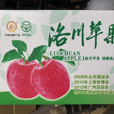 洛川苹果纯商品果发货支持一件代发欢迎实力电商对接