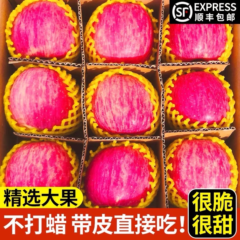 洛川苹果纯商品果发货支持一件代发欢迎实力电商对接