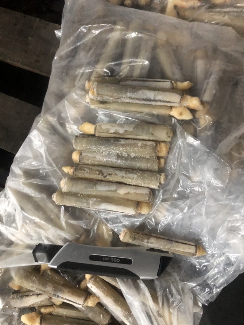 巴基竹蛏，