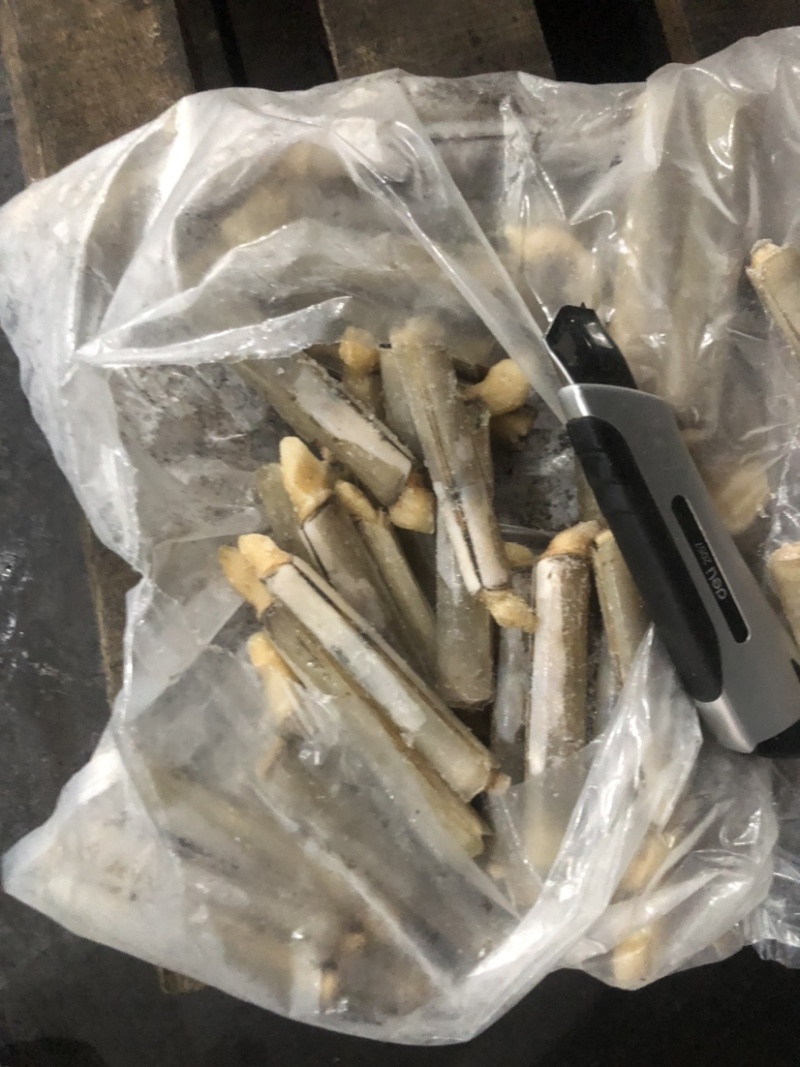 巴基竹蛏，