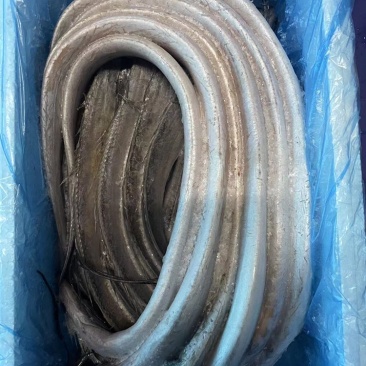 精品威海带鱼