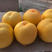 中油八号桃树苗、黄油八桃树苗，果个大，产量高