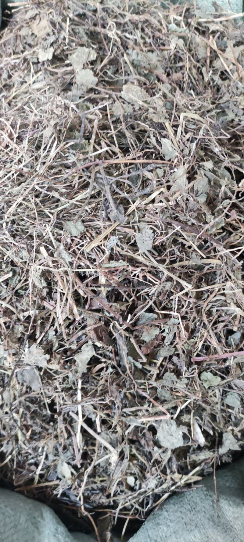 连钱草~透骨消~新货~1公斤起售~欢迎老板选购~