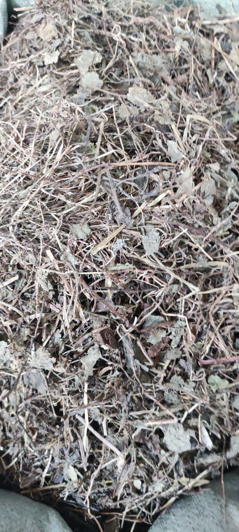 连钱草~透骨消~新货~1公斤起售~欢迎老板选购~