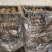 微山湖传统工艺松花蛋口感好溏心没有异味，欢迎全国各
