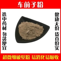 车前子粉高品质新货野生车前籽粉正品破壁超细粉中药材