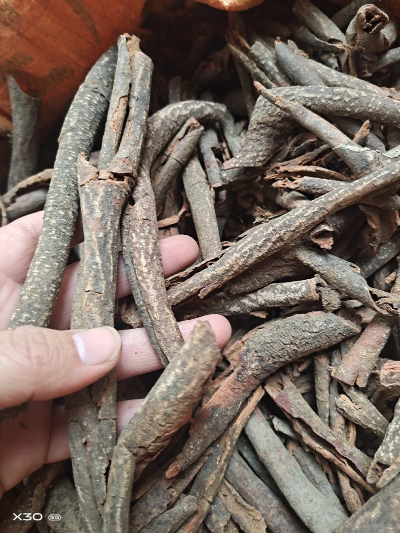 中药材红杜仲新货无硫货源充足