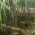 广西博白县三滩