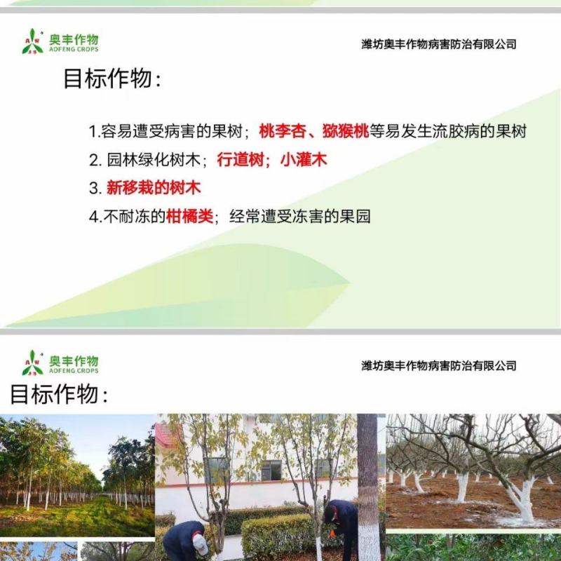 奥丰果树树干涂白剂防病虫害防冻害防日灼厂家发货