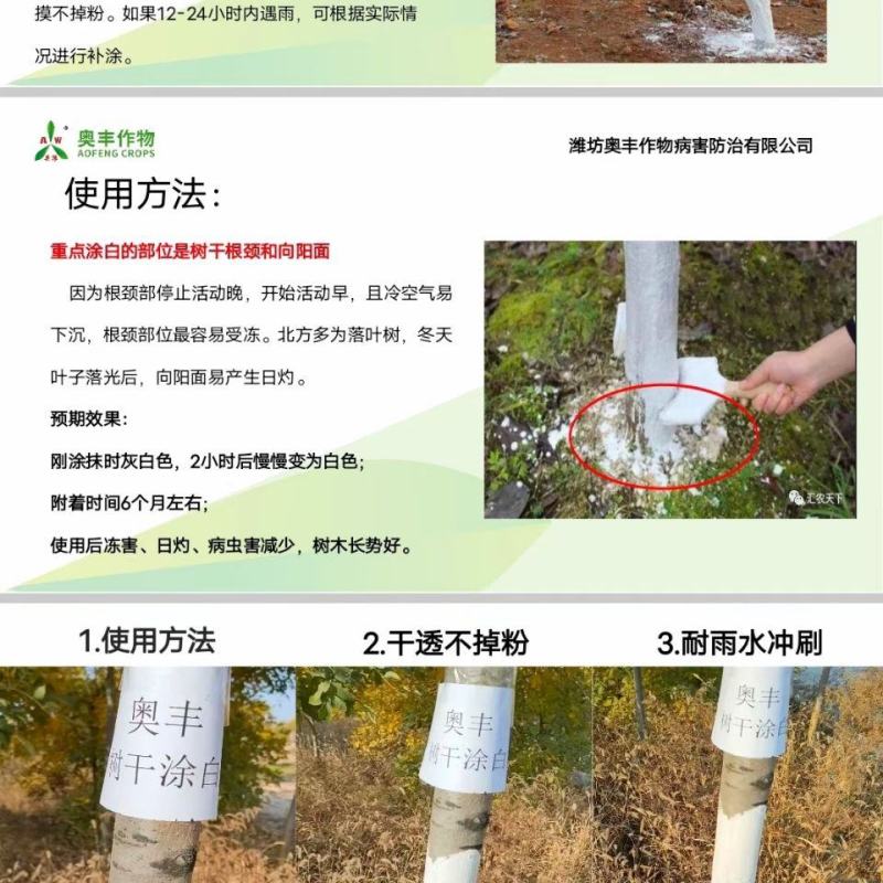 奥丰果树树干涂白剂防病虫害防冻害防日灼厂家发货