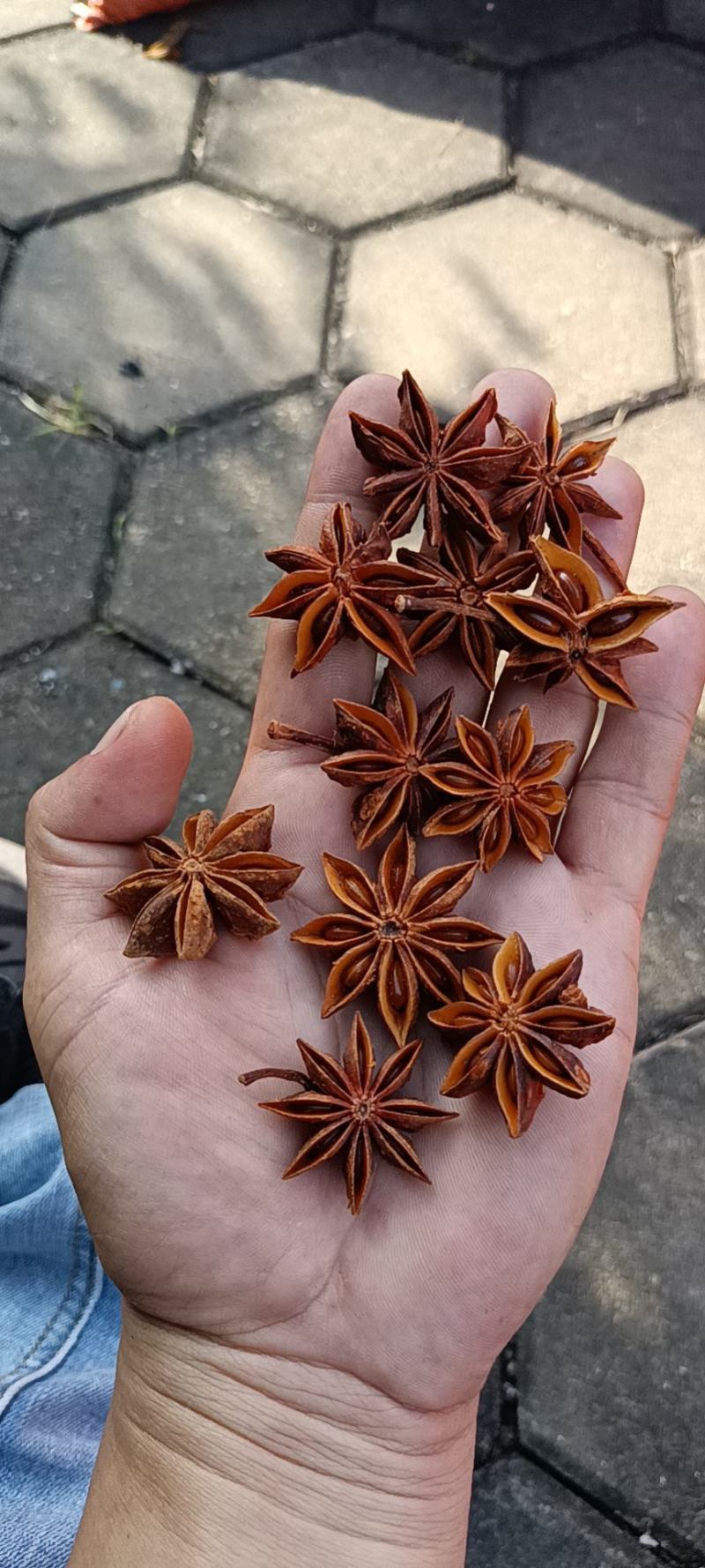 正宗广西无硫，水烫大红八角原产地直批，自家果园，自摘自晒