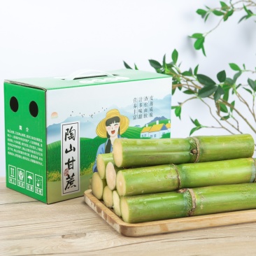 陶山甘蔗陶山果蔗绿皮果蔗手撕甘蔗自产青皮甘蔗